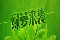 百度最新规则 - 绿萝算法